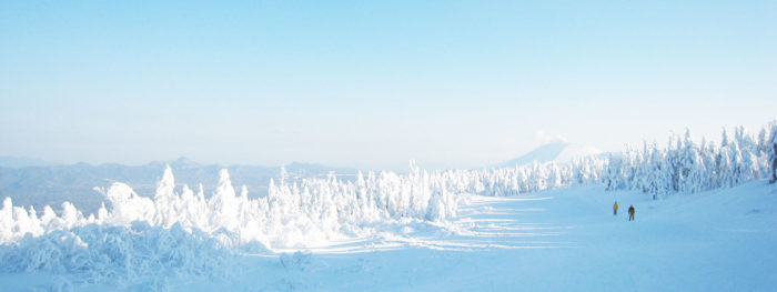 冬のレジャー | パルコール嬬恋リゾートスキー場すぐ近く｜バラギ高原